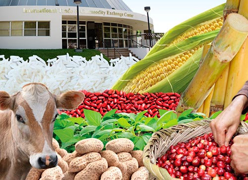 De NicaraguaS De NicaraguaS Bolsa Agropecuaria Agropecuaria abagsaGuiagronicaragua abagsaGuiagronicaragua Bolsa Bolsa Agropecuaria vm80Nwn
