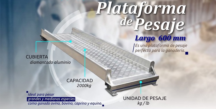 https://guiagronicaragua.com/wp-content/uploads/2023/11/Plataforma-de-pesaje-copia-2.jpg