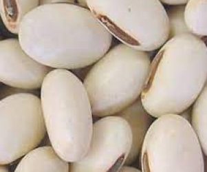 Cannabalia 2 Cannabalia 2